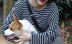 舞林大会申雪赵宏博